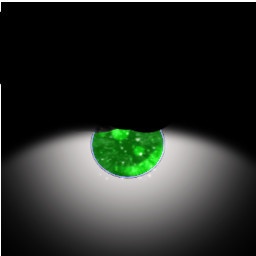 Clover Eye Texture