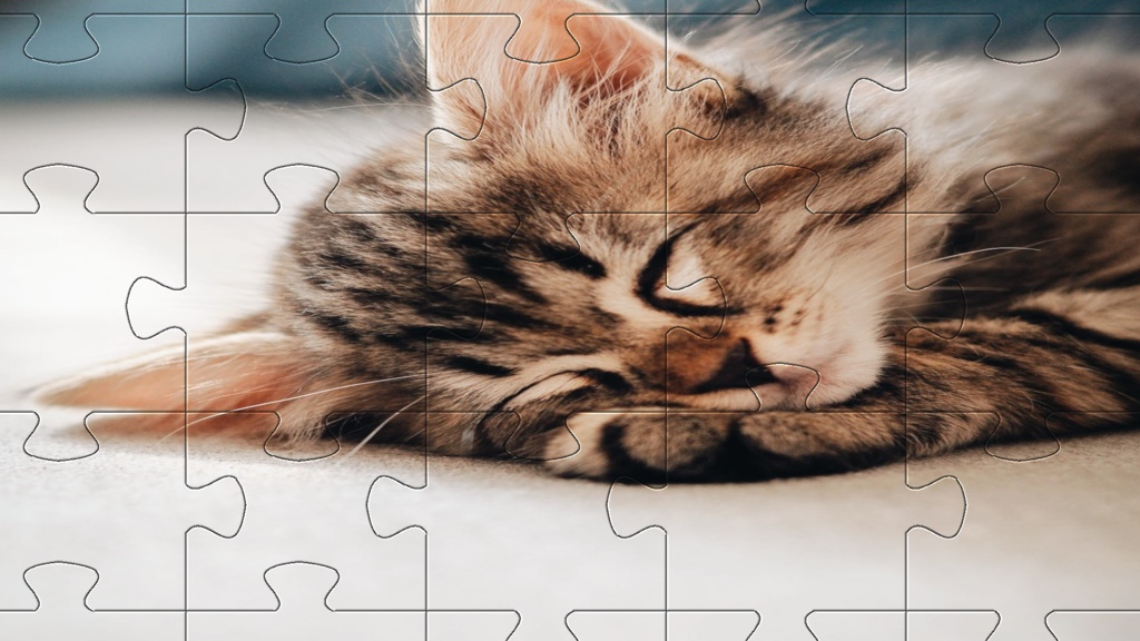 Kitten Puzzle