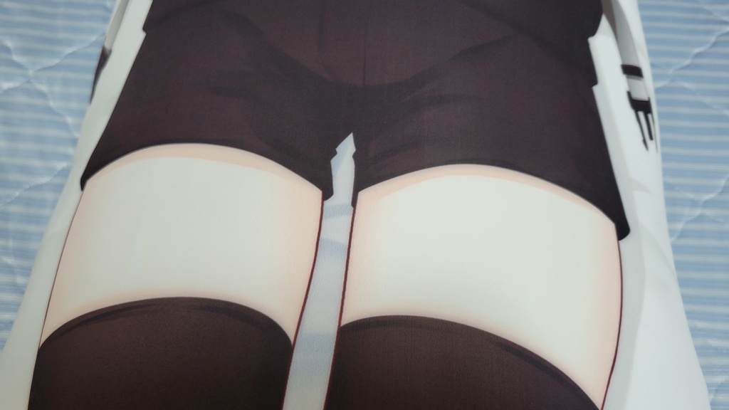 八野ハチ抱き枕パーカー&レースクイーン