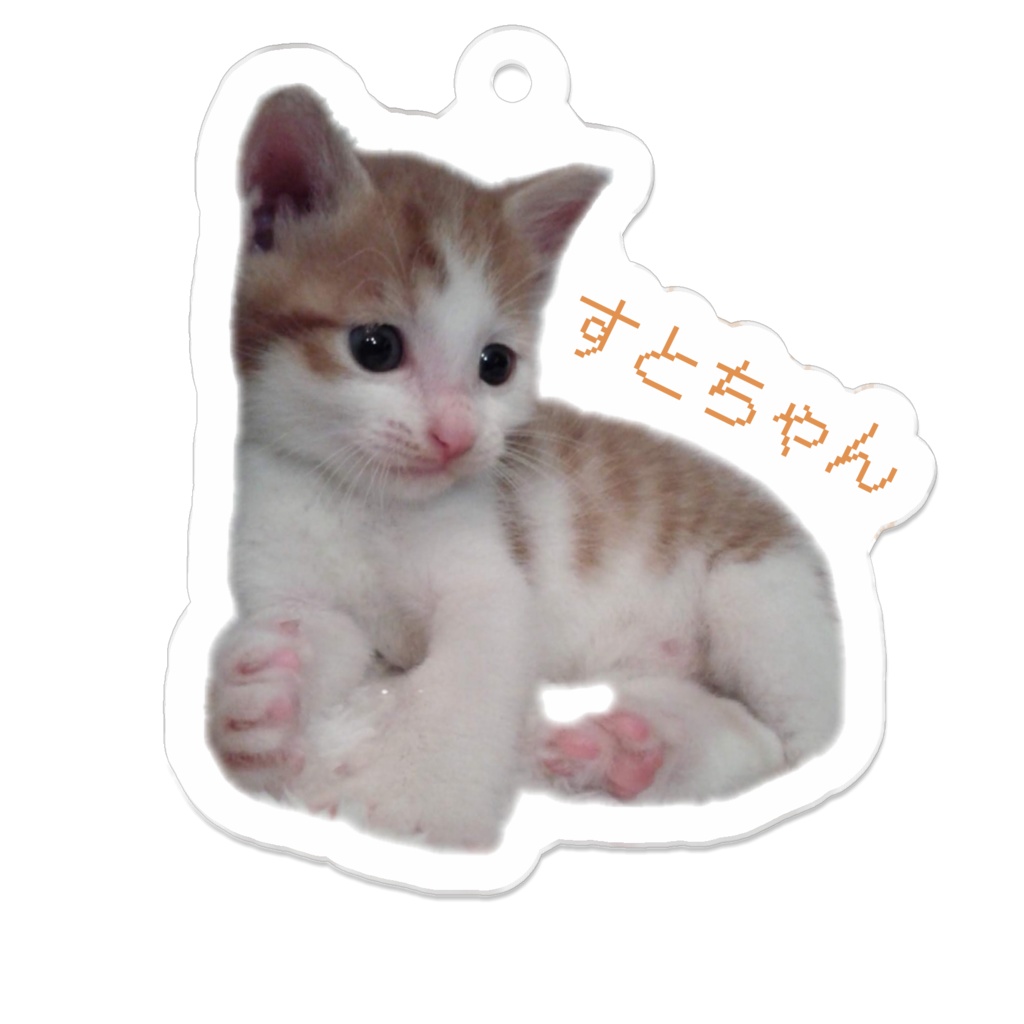 ちびねこすとにゃん