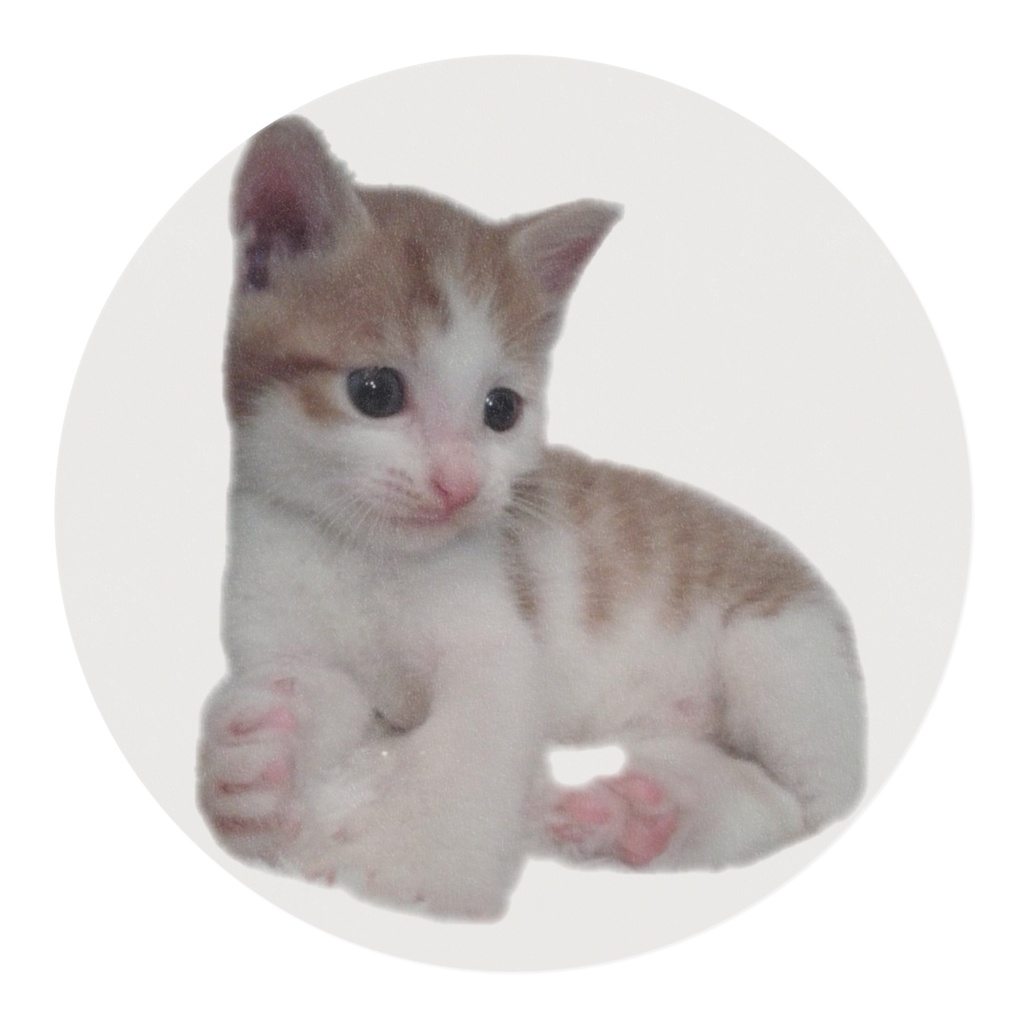 たまちぃのきじょーまちゅきんぐてーぷ