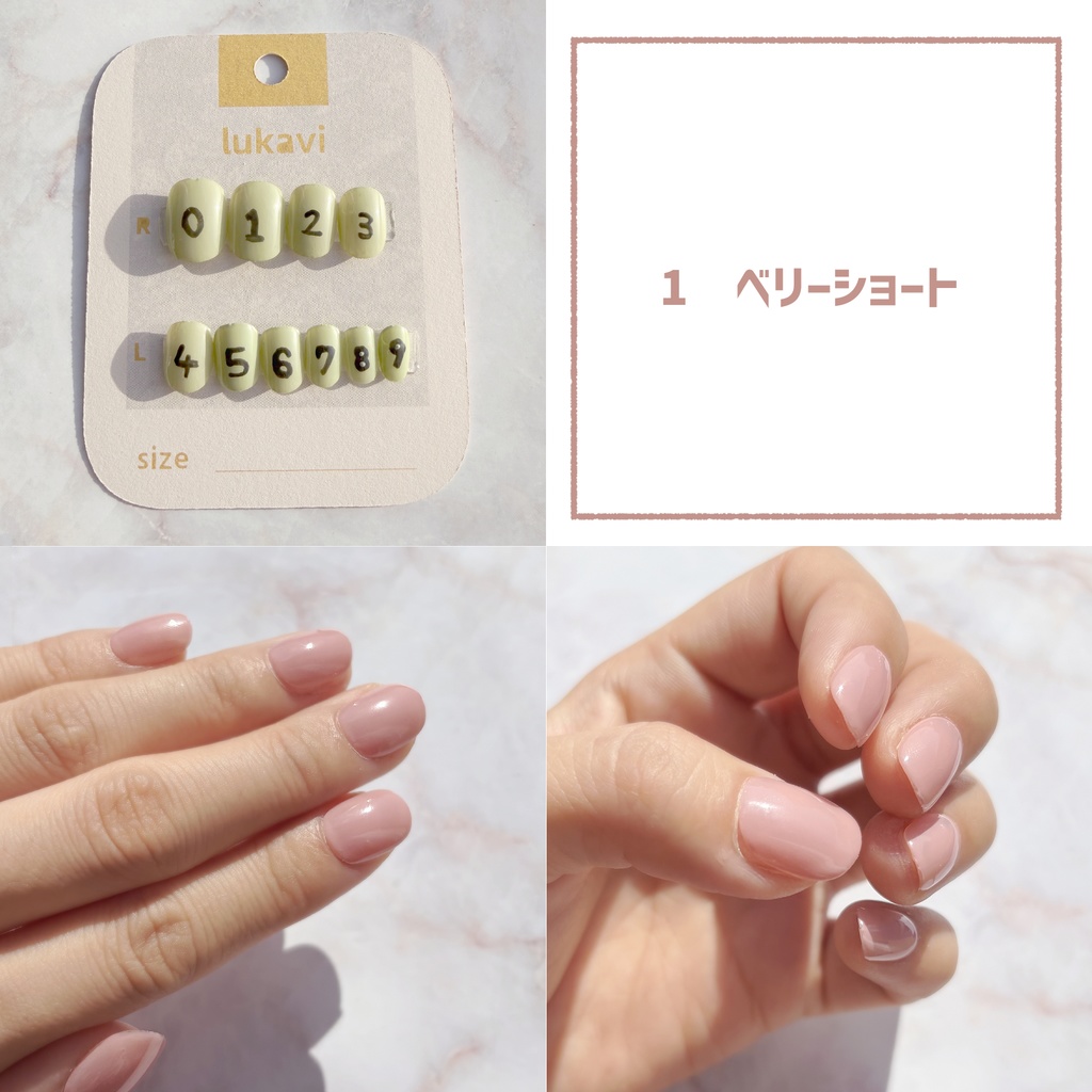 サンプルチップ【ジェル塗布済み】