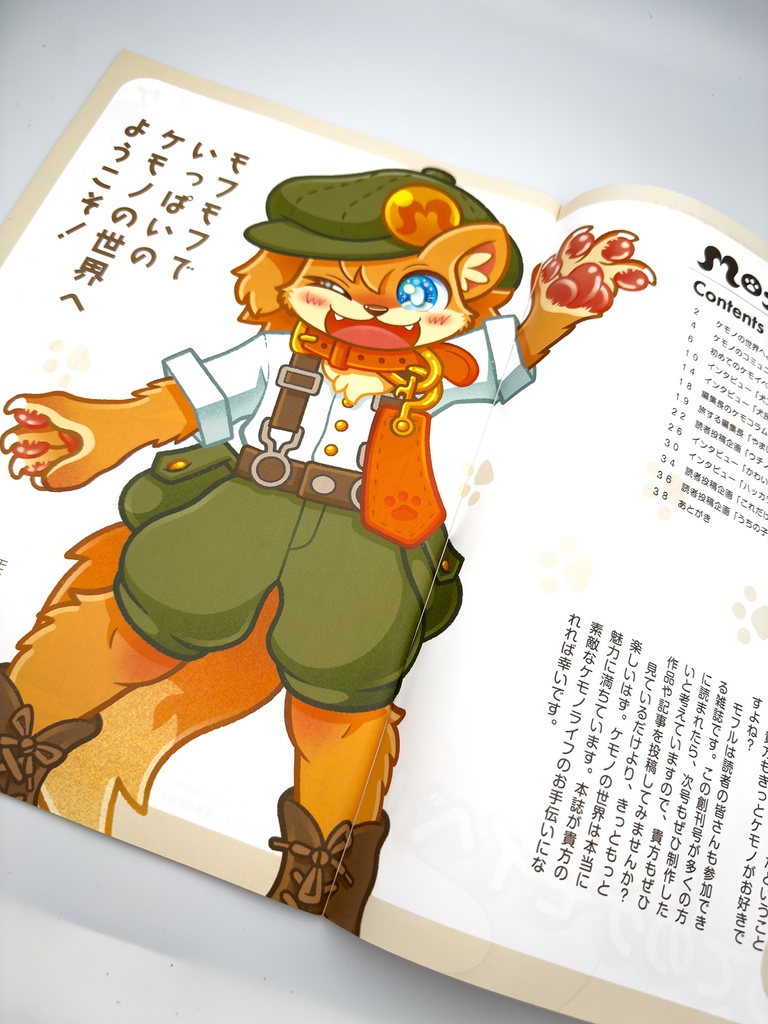 Mofull創刊号【紙版】