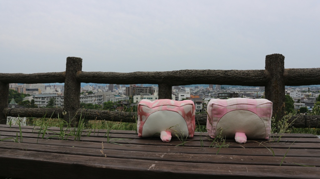 お嬢様(おチェック)