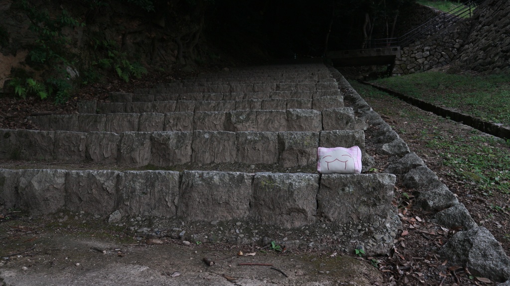 お嬢様(おチェック)