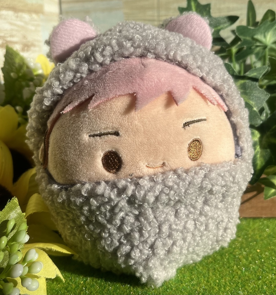 ふわコロりん　着ぐるみ　ネズミ