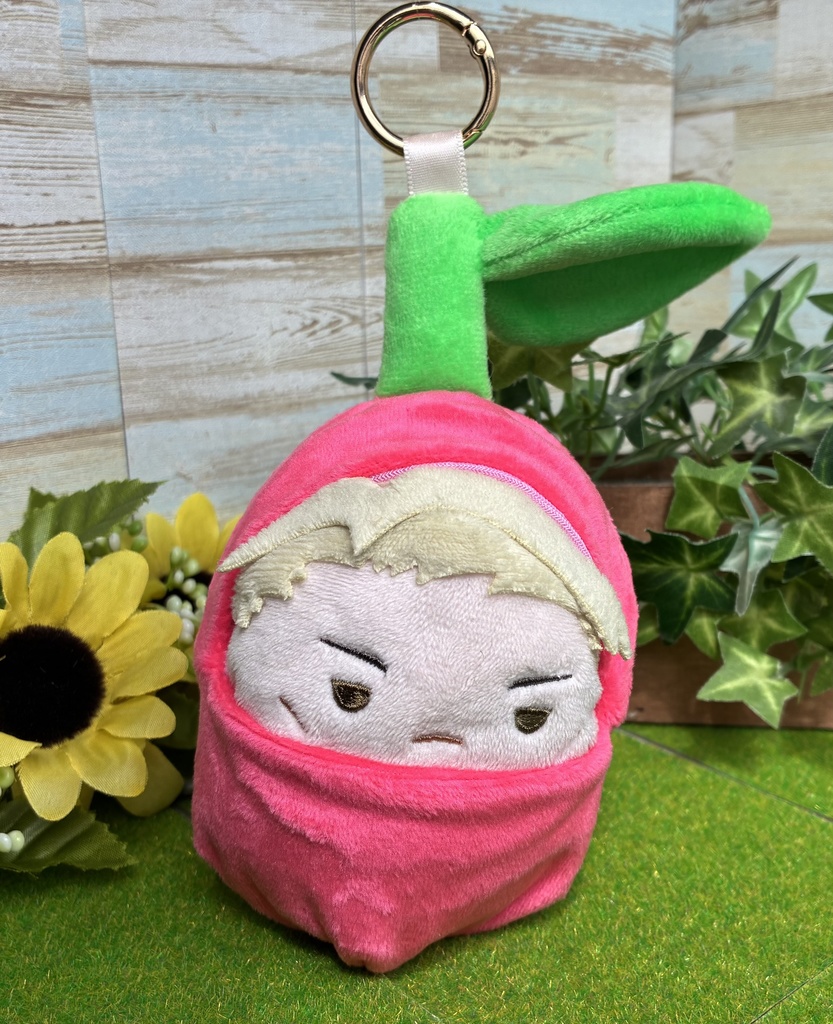 ふわコロりん　着ぐるみ　さくらんぼ　チェリー　右