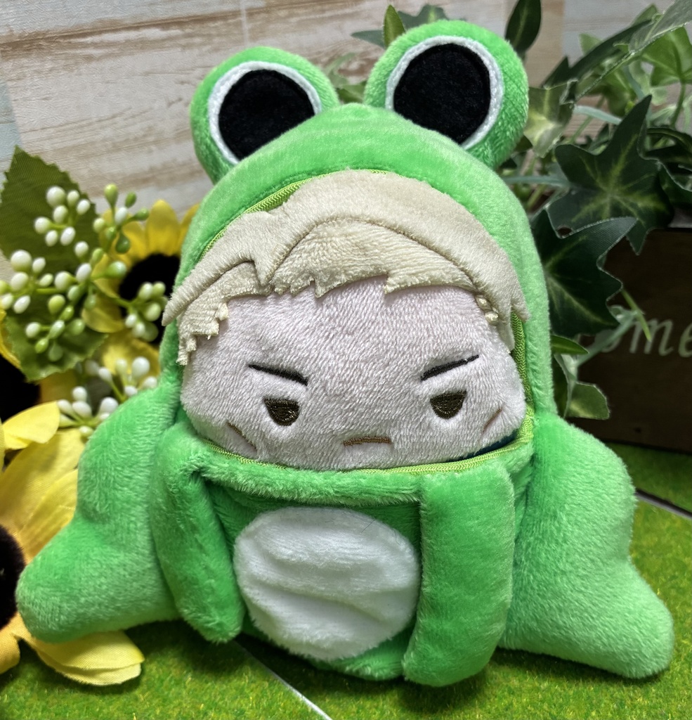 ふわコロりん　着ぐるみ　カエル