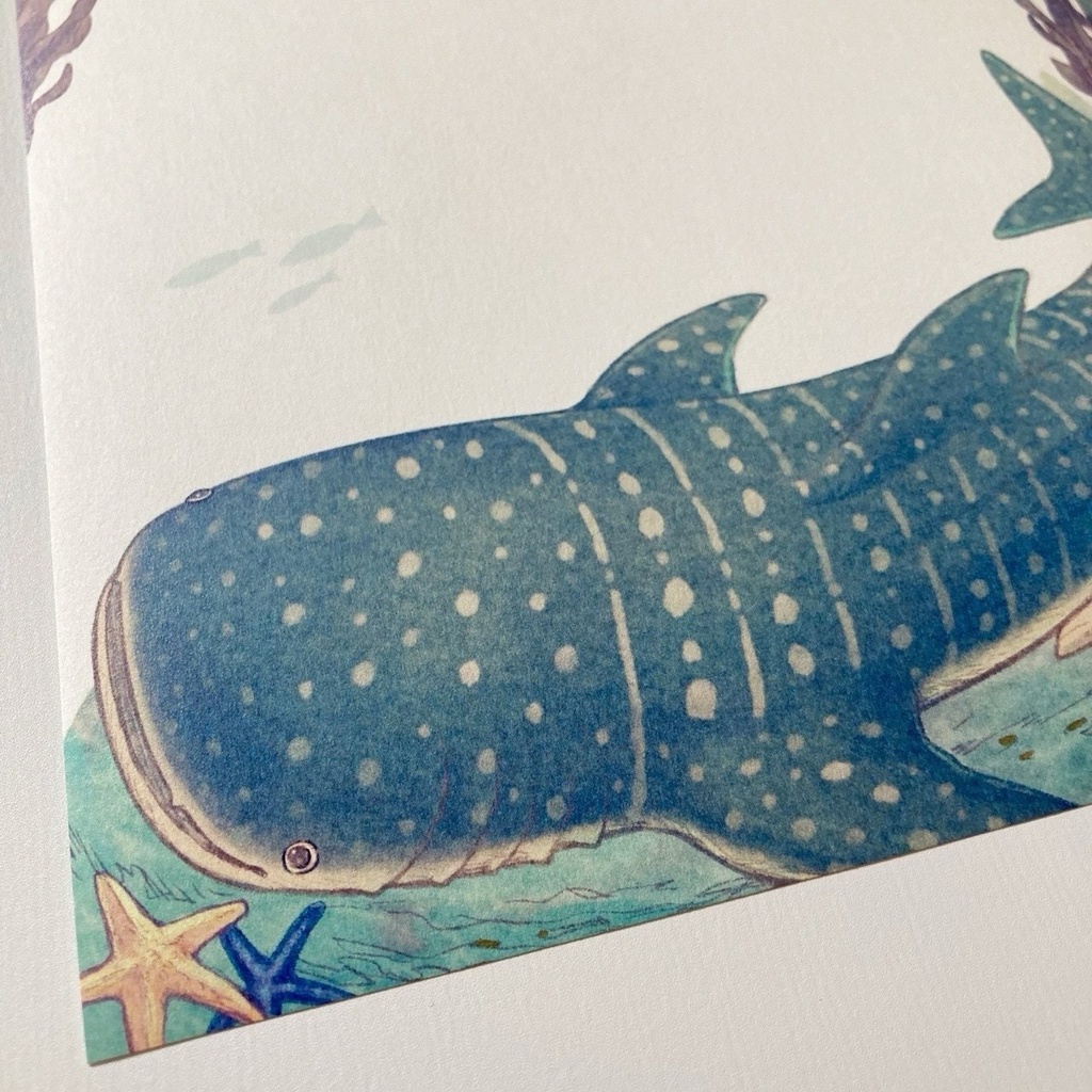 セブの海・ジンベエザメのレターセットA5