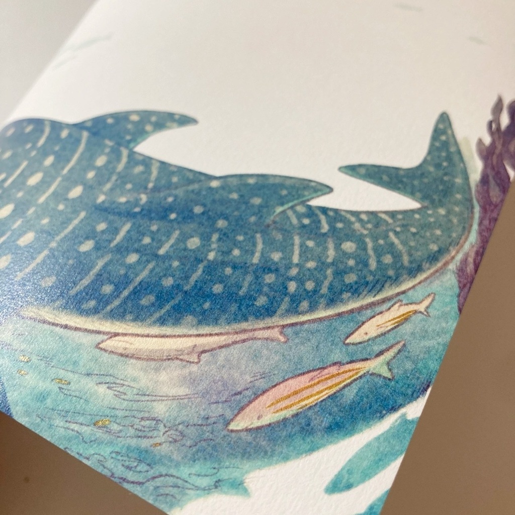 セブの海・ジンベエザメのレターセットA5