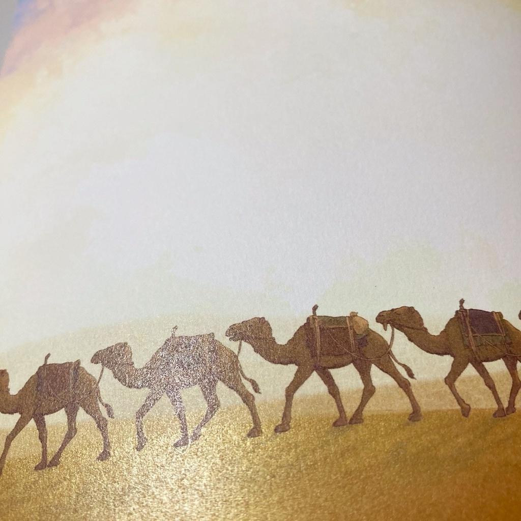 サハラ砂漠・ラクダレターセットA5