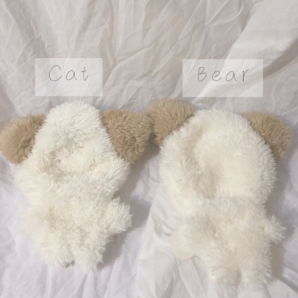 🥐Noon Bear&Cat 🍞