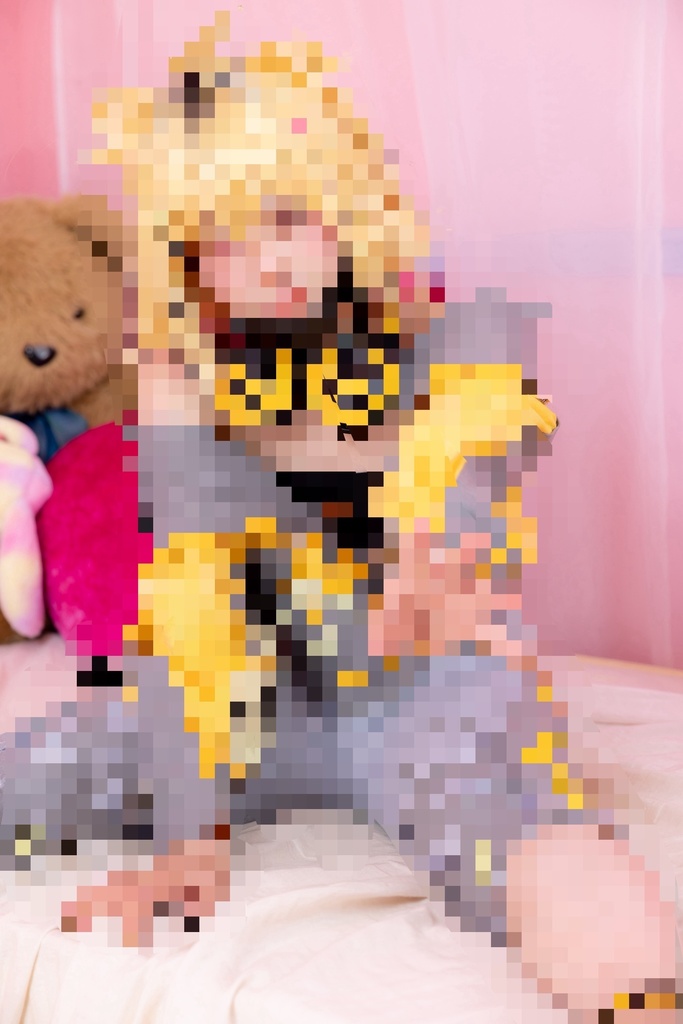 〈写真集〉GauDiary / B5 50p うる虎がーるコスプレ/9着