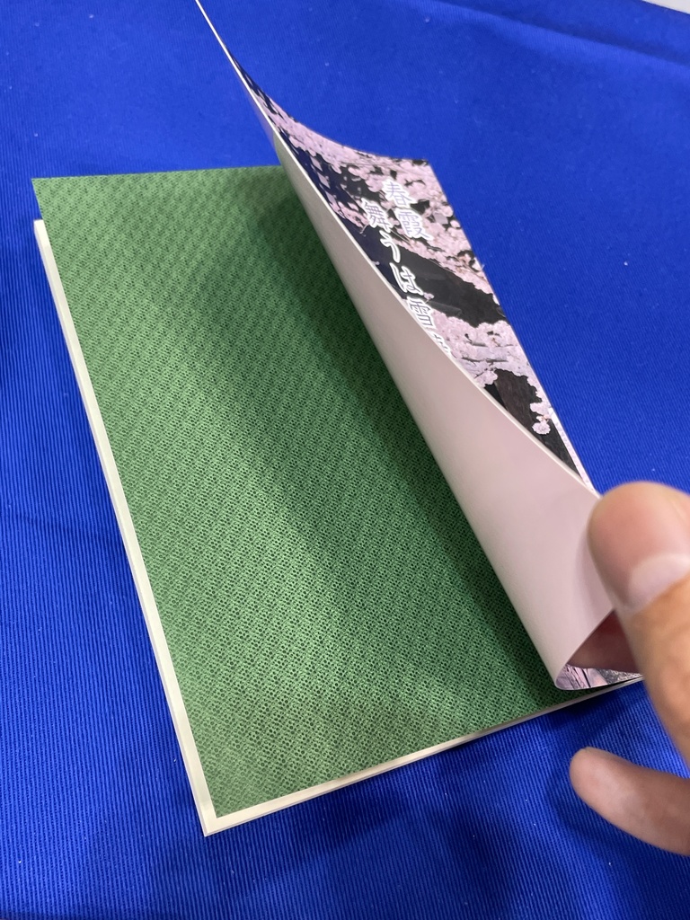 春霞 舞うは雪華か 夢見草