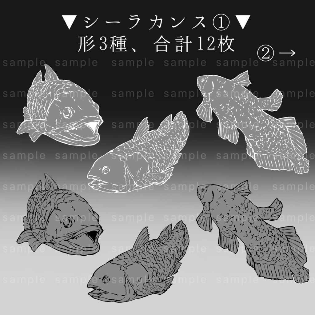 【イラスト素材】全40枚/魚の線画イラスト【手描き】