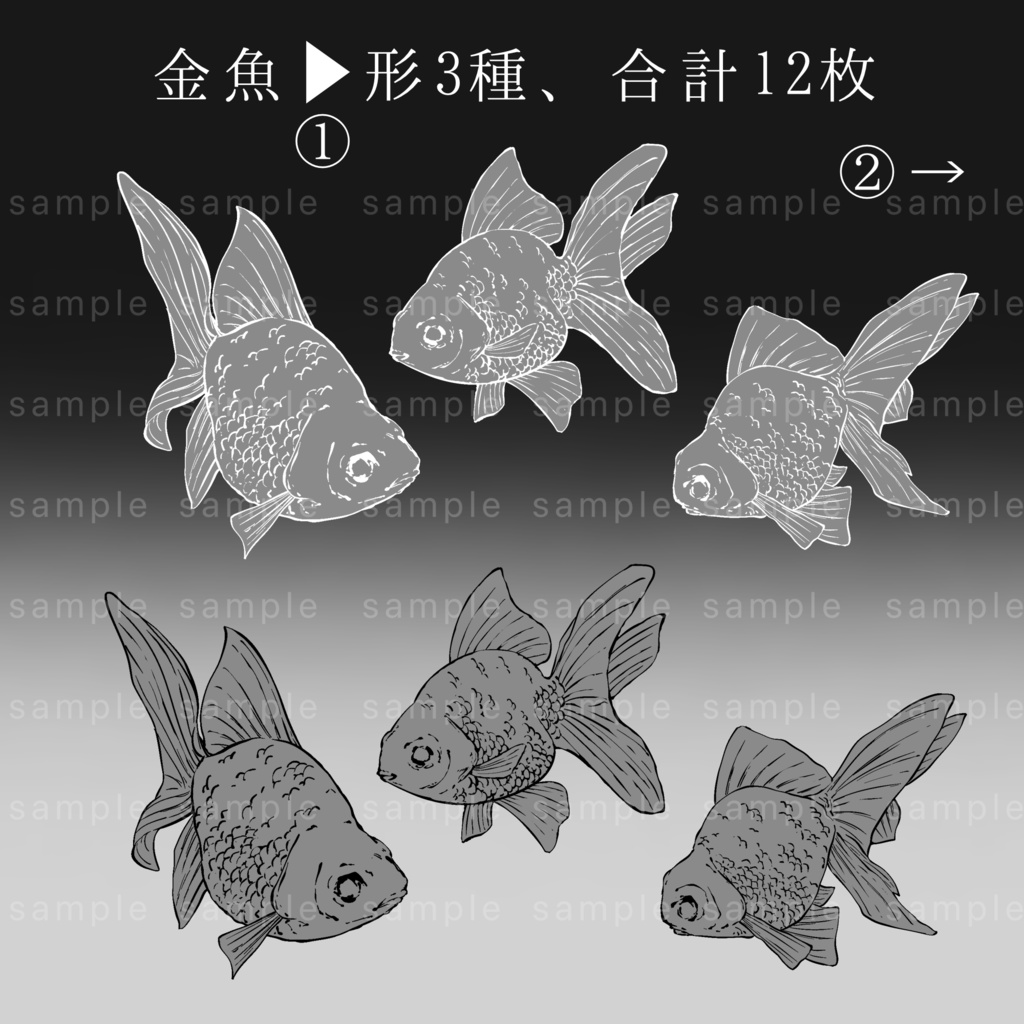 【イラスト素材】全40枚/魚の線画イラスト【手描き】