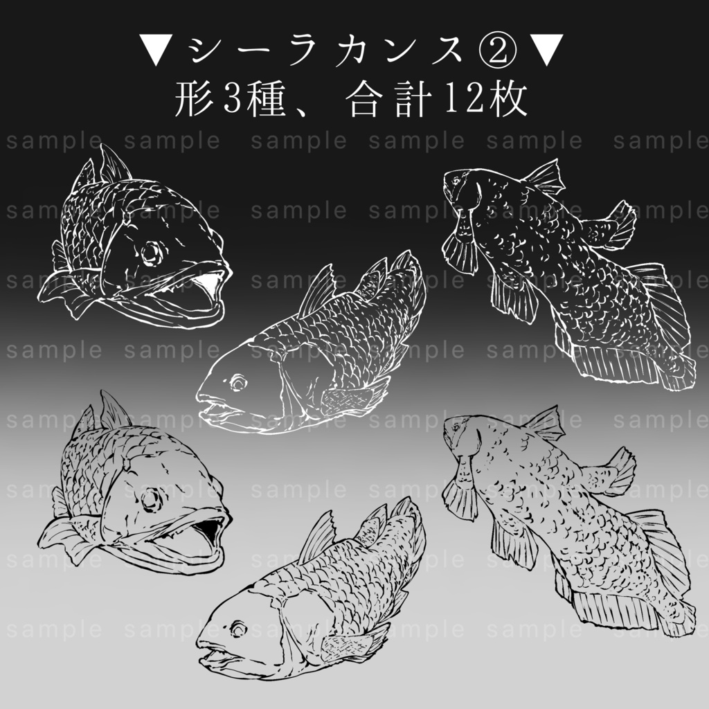 【イラスト素材】全40枚/魚の線画イラスト【手描き】