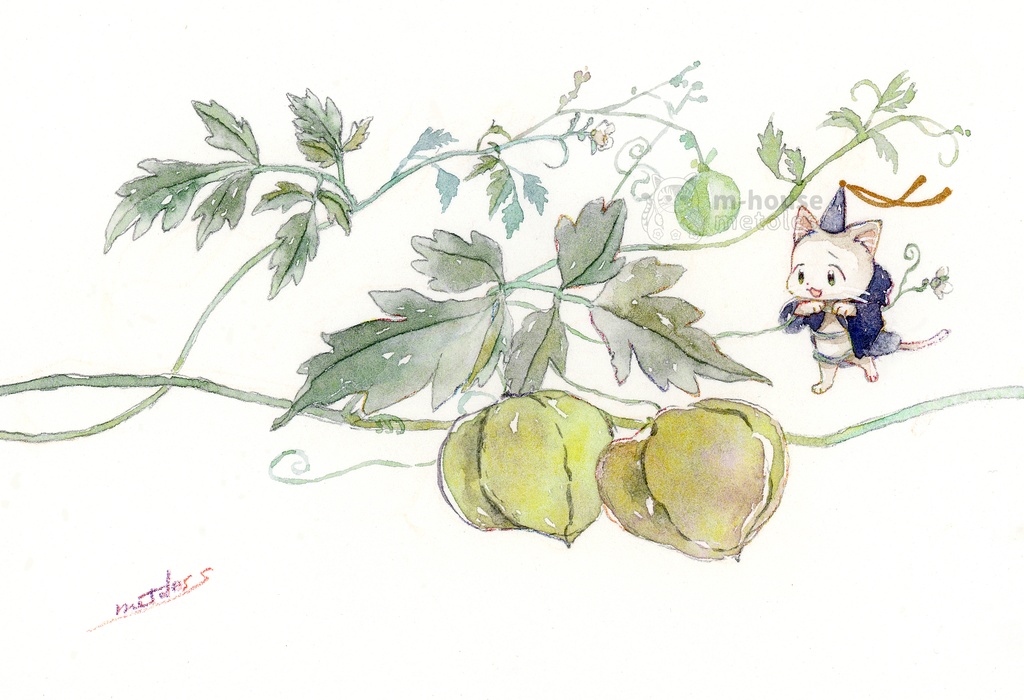 フレーム付原画:ふうせんかずらとボウシちゃん