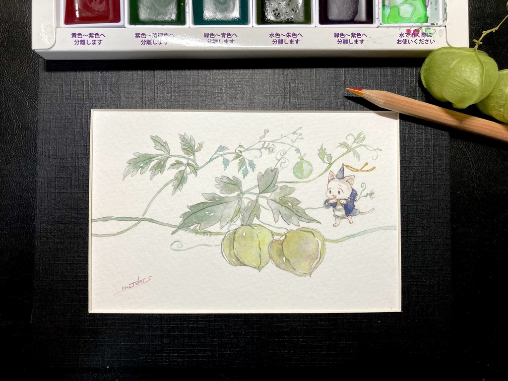 フレーム付原画：ふうせんかずらとボウシちゃん