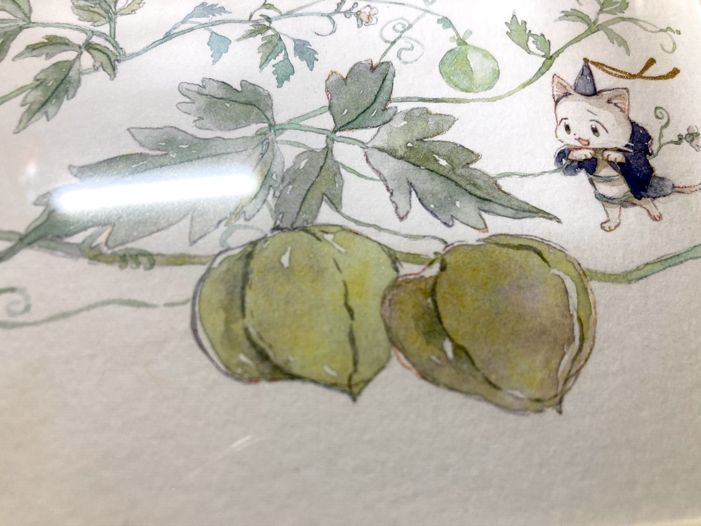 フレーム付原画:ふうせんかずらとボウシちゃん