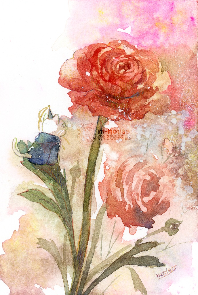 マット付原画：「ラナンキュラス」