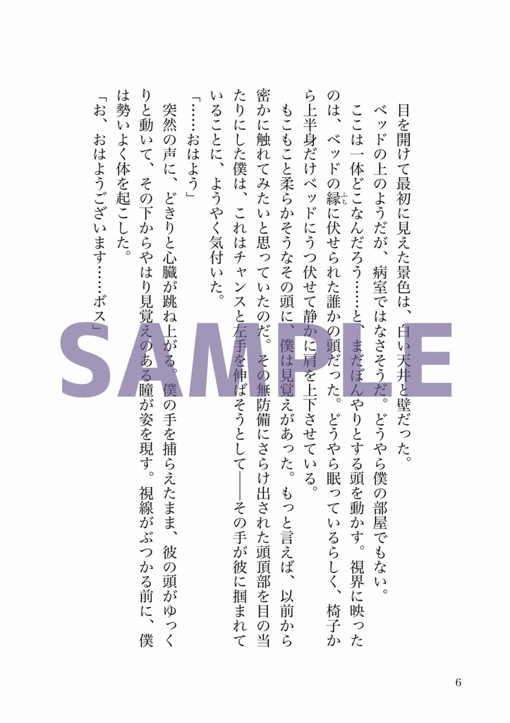 小説「グッド・ナイト・シンデレラ」