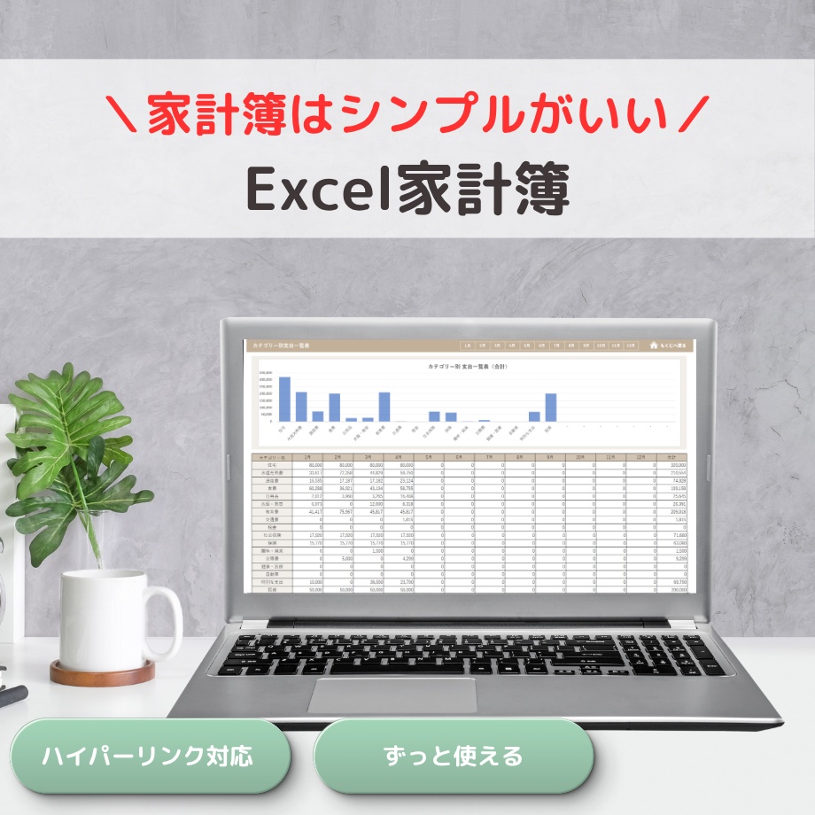 自分好みにカスタムできる 見やすいExcel家計簿