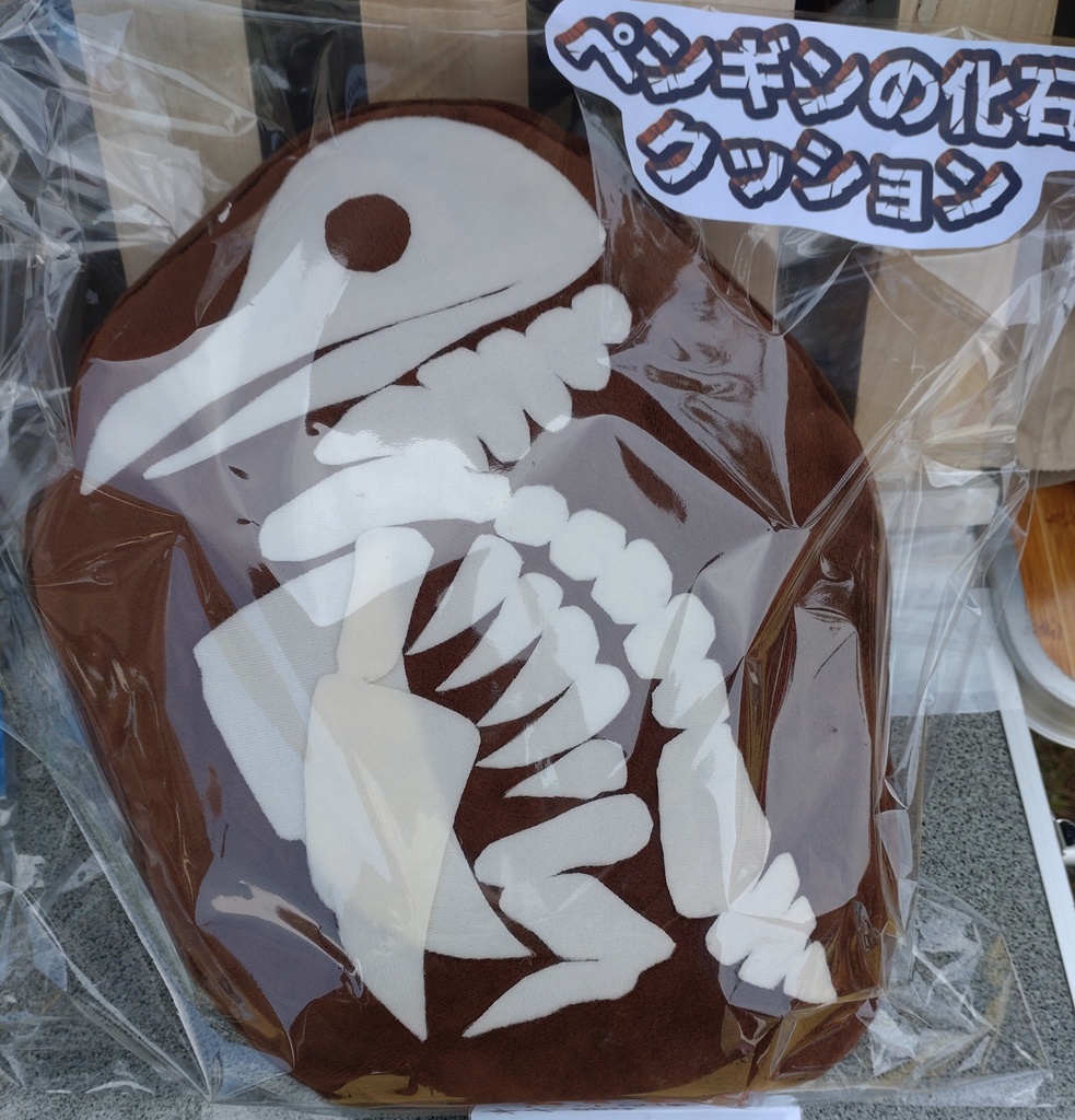 ペンギンの化石クッション(送料込み)
