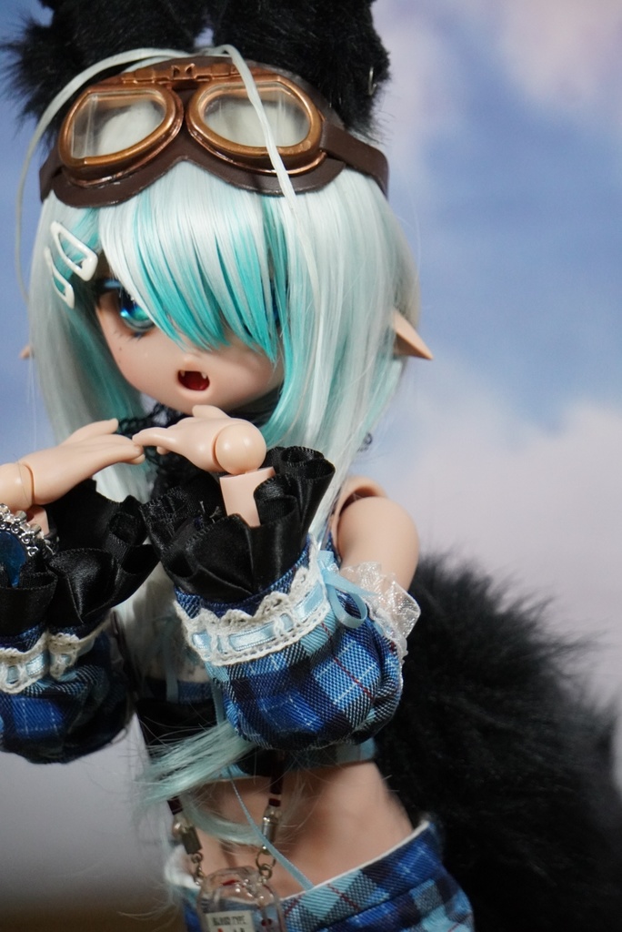 DD用 パイロットゴーグル