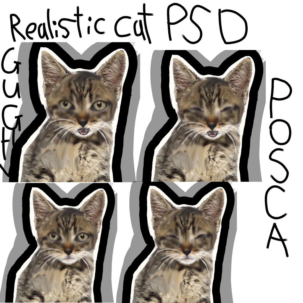 Realistic Cat PSD | By Posts AKA/Me