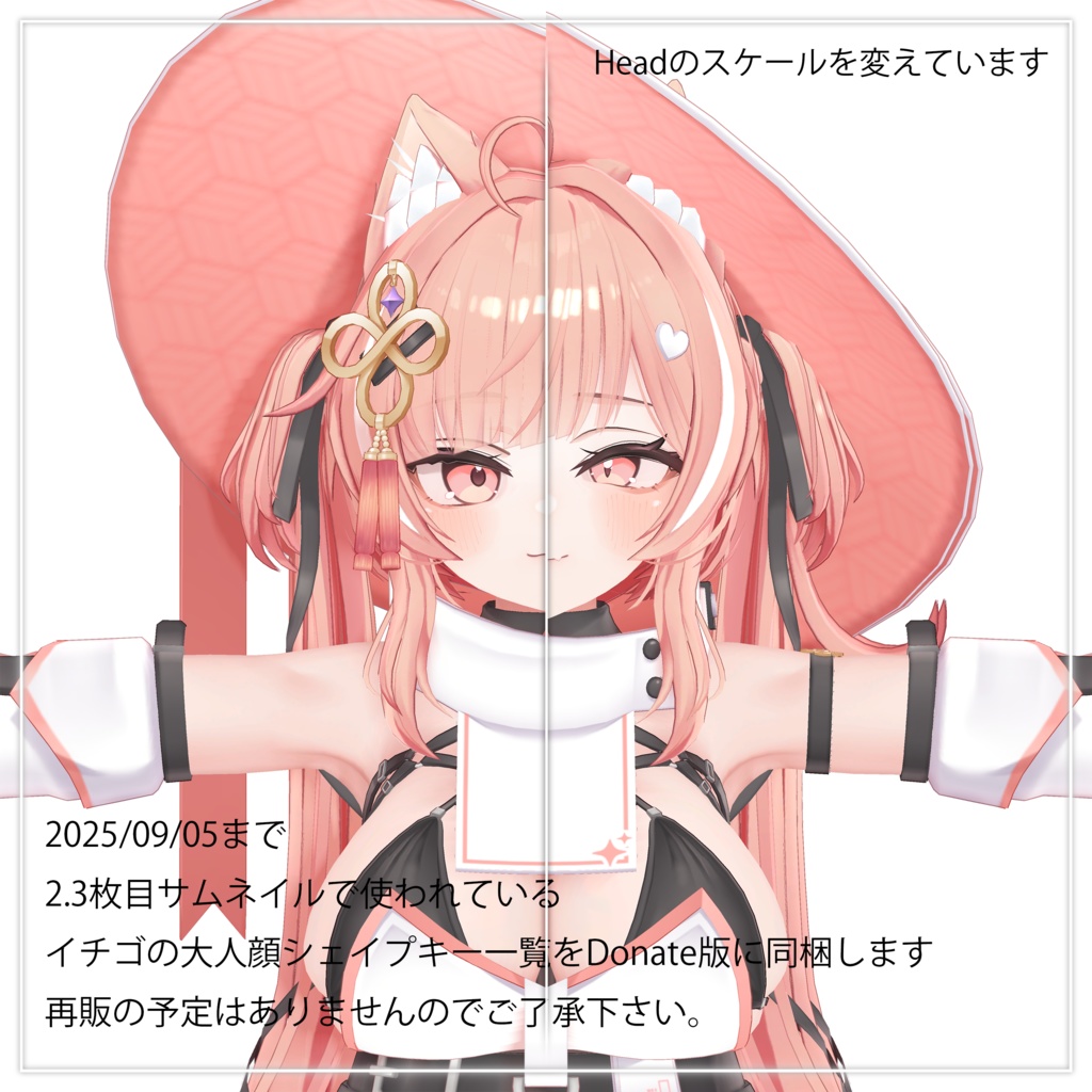 【Free】Ichigo Face Plus