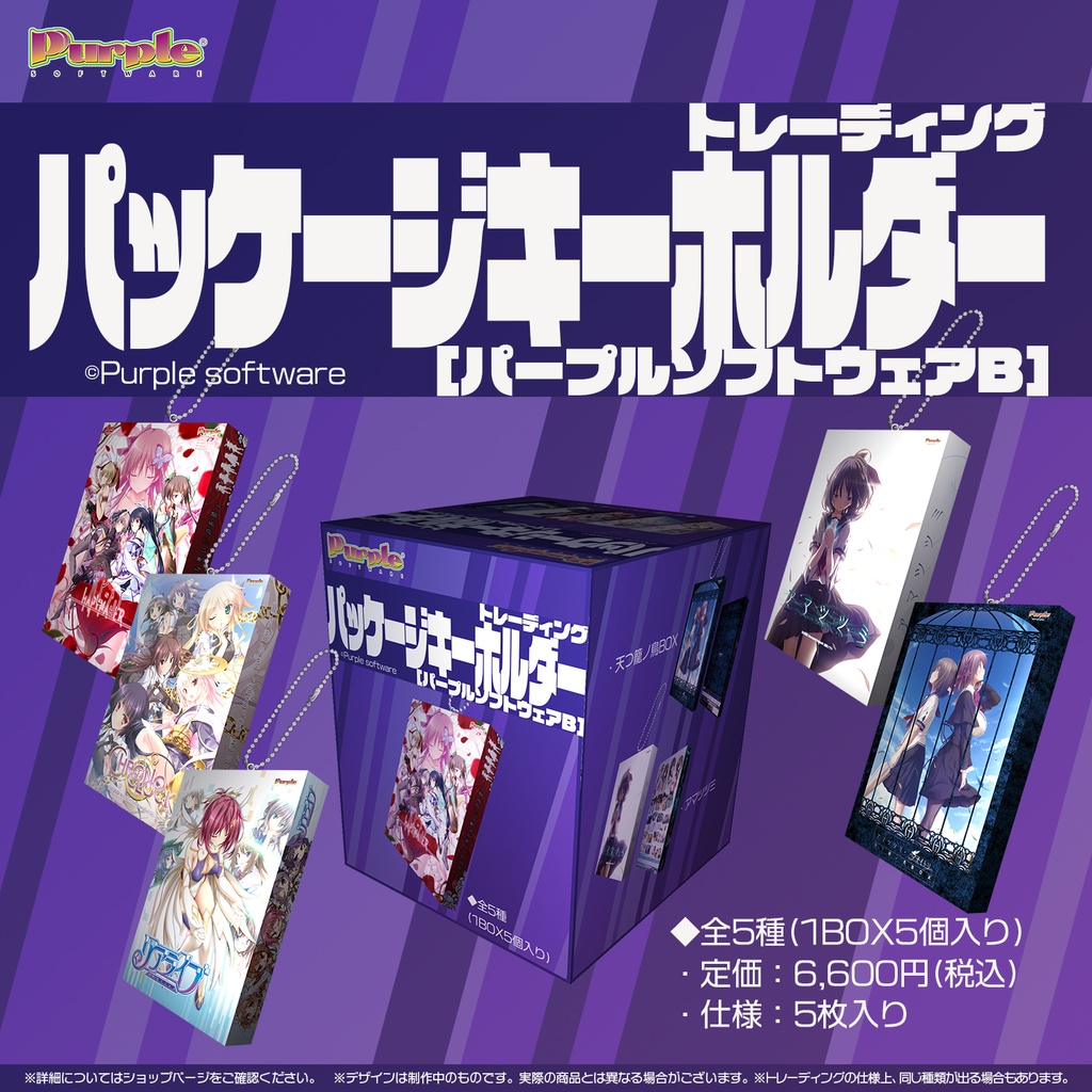 【パープルソフトウェアB】パッケージキーホルダー(全5種1BOX5個入り)