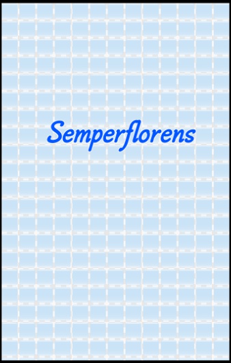 Semperflorens