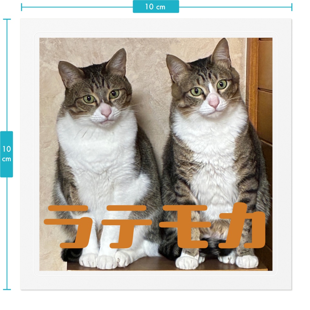 ラテモカ