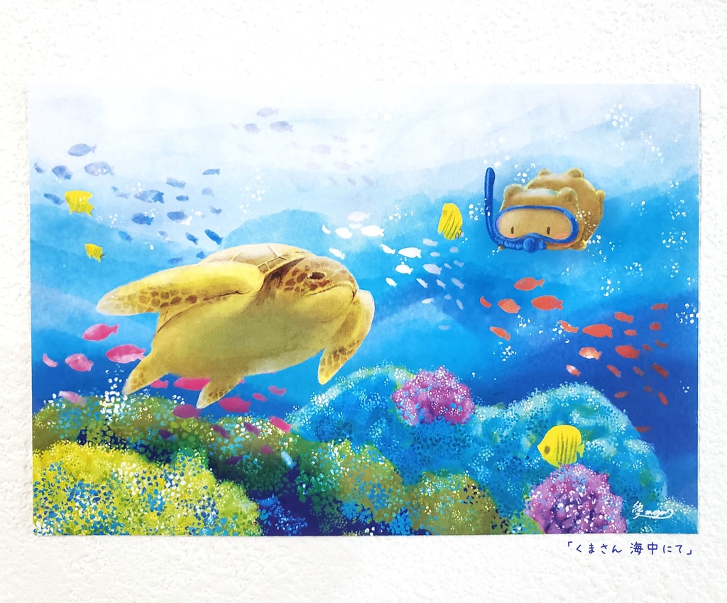 【ポストカード/2枚】海くまセット