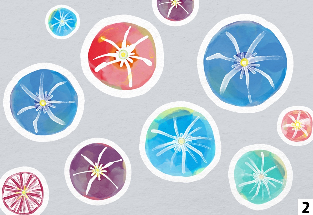 パスケース・朝顔柄