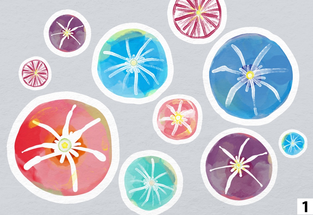 パスケース・朝顔柄