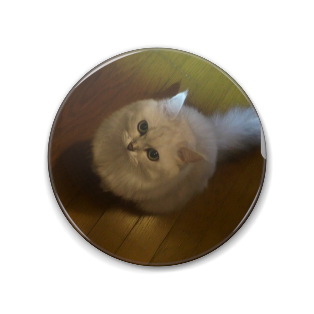 まんまるねこちゃん缶バッジ