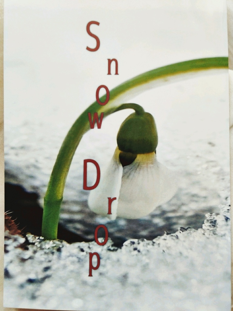 Snow Drop