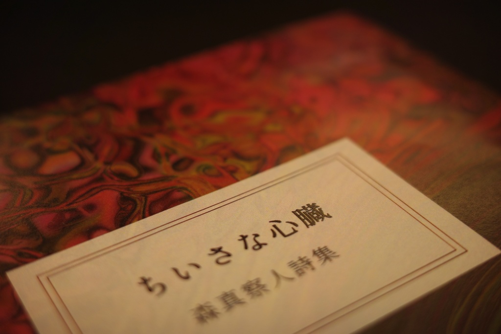 ちいさな心臓 森真察人詩集