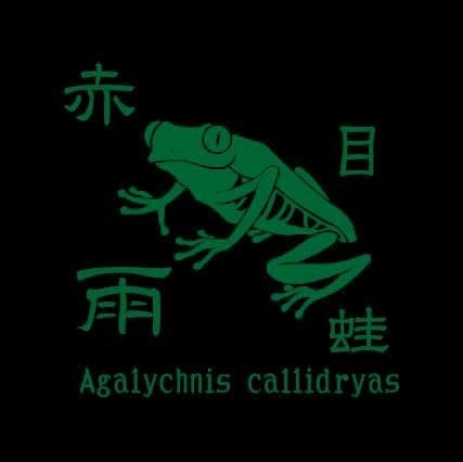 カエルワンポイントTシャツ「赤目雨蛙」