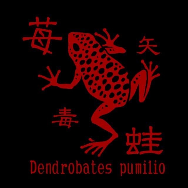 苺矢毒蛙 ワンポイントTシャツ