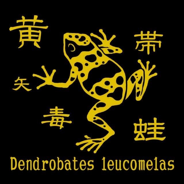 黄帯矢毒蛙 ワンポイントTシャツ