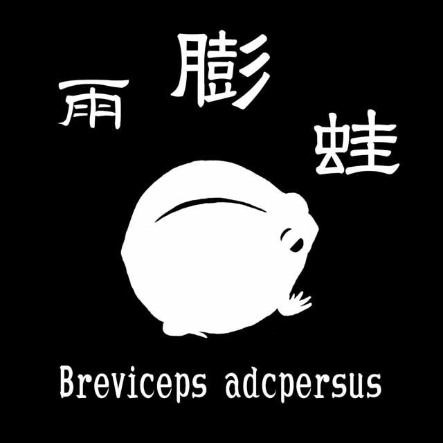 膨蛙 ワンポイントTシャツ