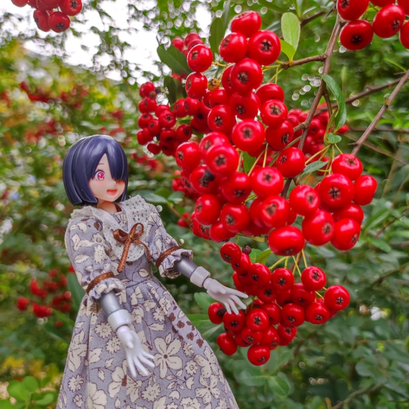 フルールワンピ