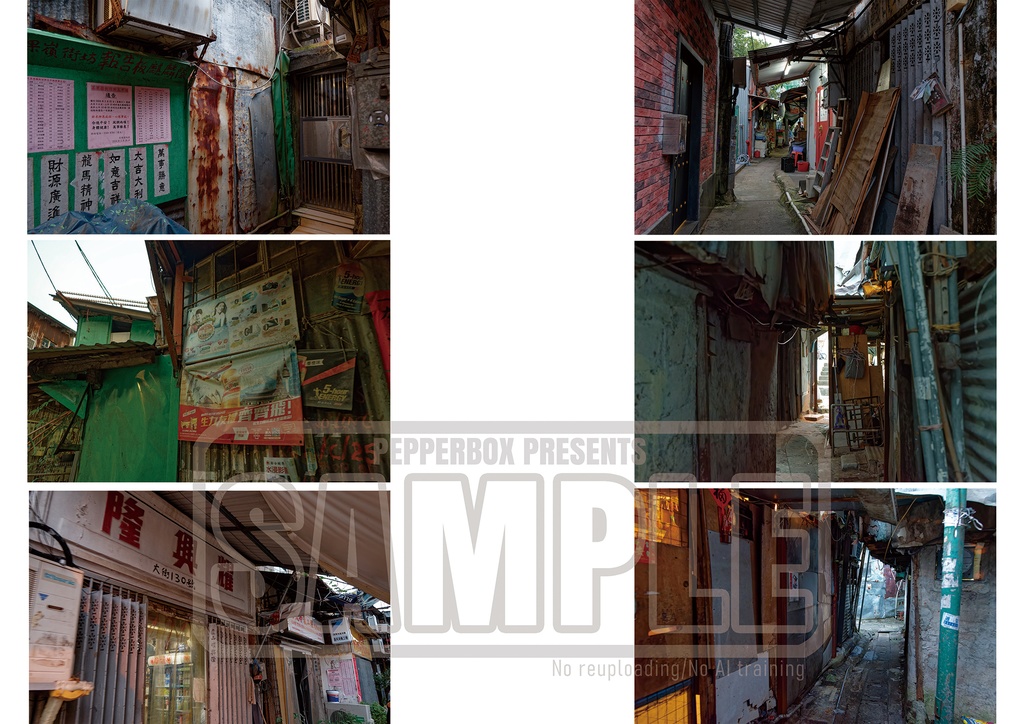 消えゆく街<1992年九龍城砦/2024年茶果嶺村~九龍最後の村>