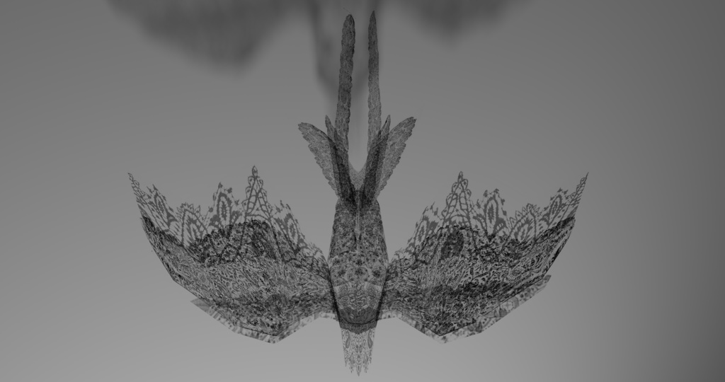 LaceBird【3Dモデル】