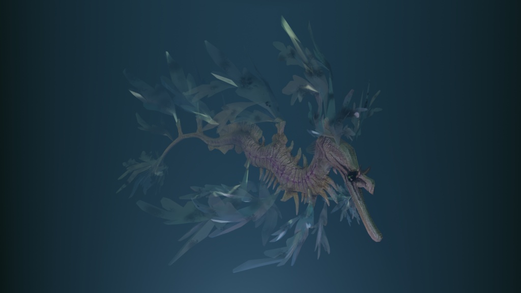 海底の馬車【undersea carriage】