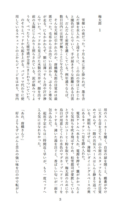 【握龍小説本】雪催いの惑い雪