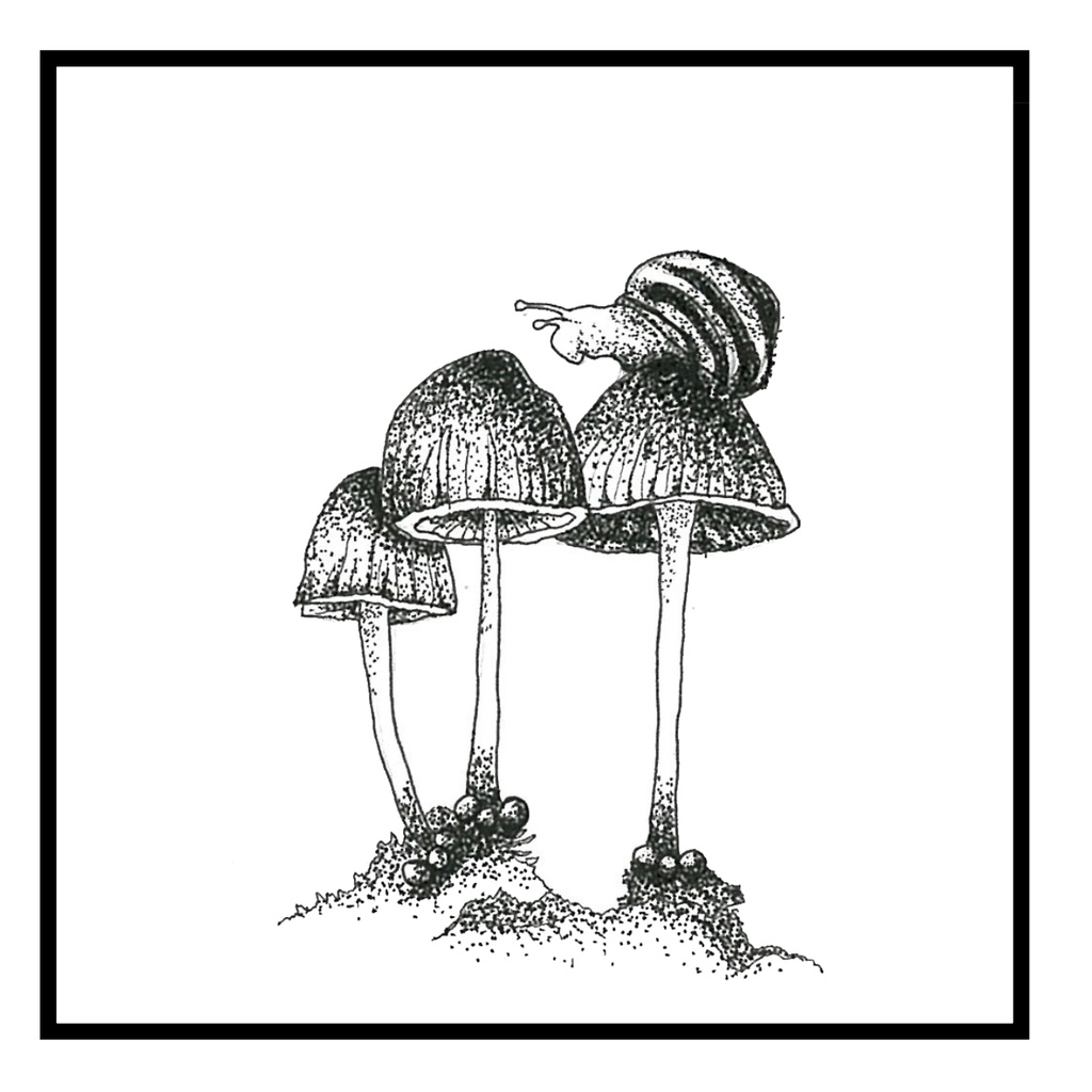 マスキングテープ 虫達 Sy×w